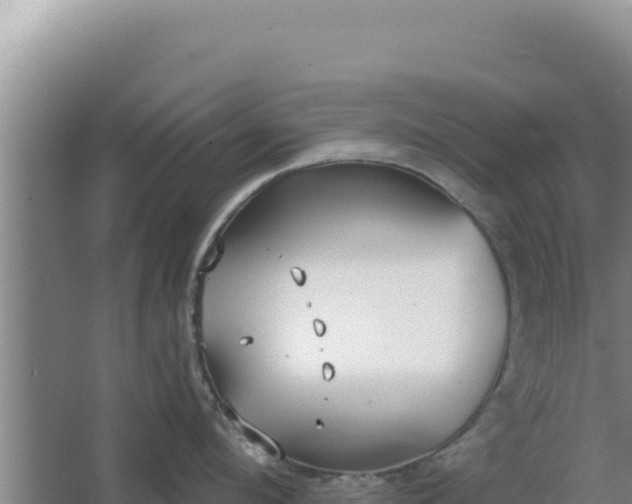 X0000068300912200604281706