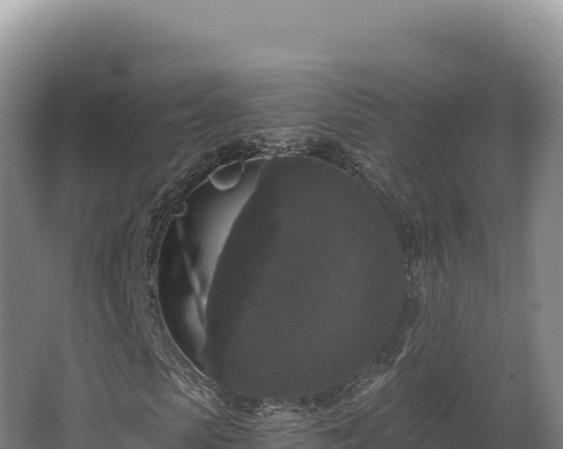 X0000068300913200604281705