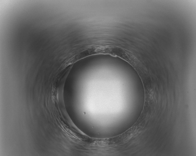 X0000068300914200604281705