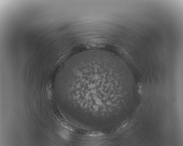 X0000068300915200604281705