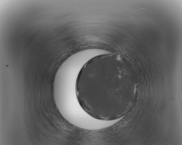 X0000068300916200604281705