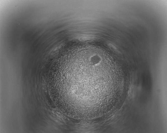 X0000068300917200604281705