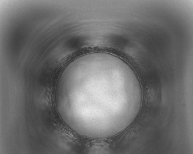 X0000068300918200604281705