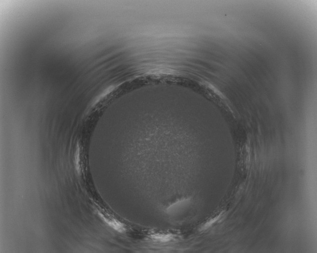 X0000068300919200604281705