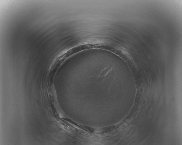 X0000068300920200604281705