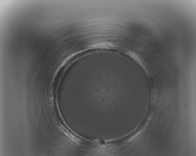 X0000068300923200604281705