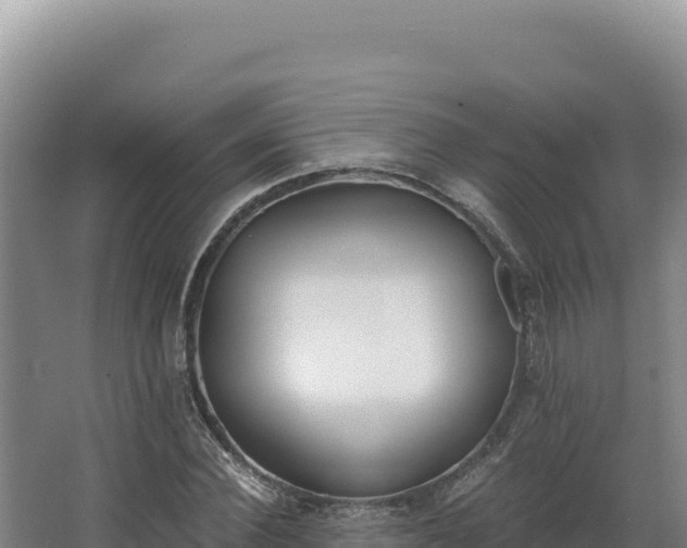 X0000068300924200604281705