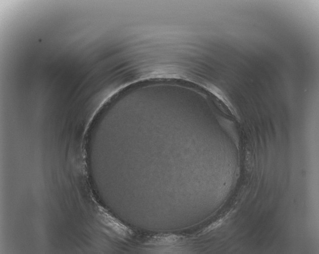 X0000068300926200604281705