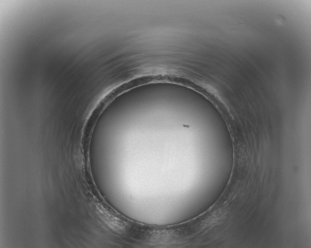 X0000068300927200604281705