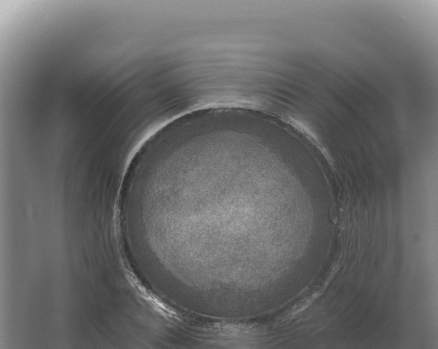 X0000068300928200604281705