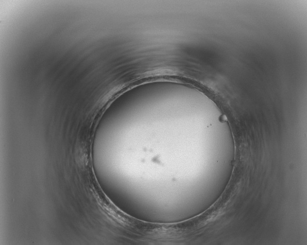 X0000068300929200604281705