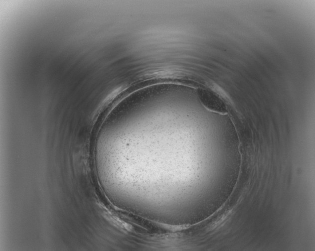 X0000068300930200604281706