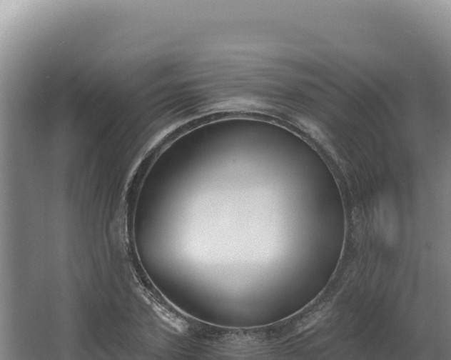 X0000068300931200604281706