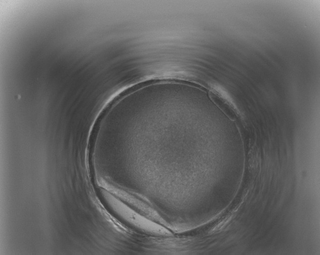 X0000068300932200604281706