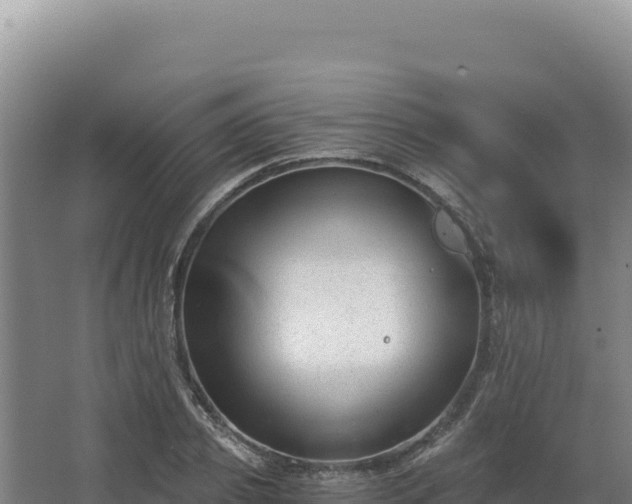 X0000068300933200604281706