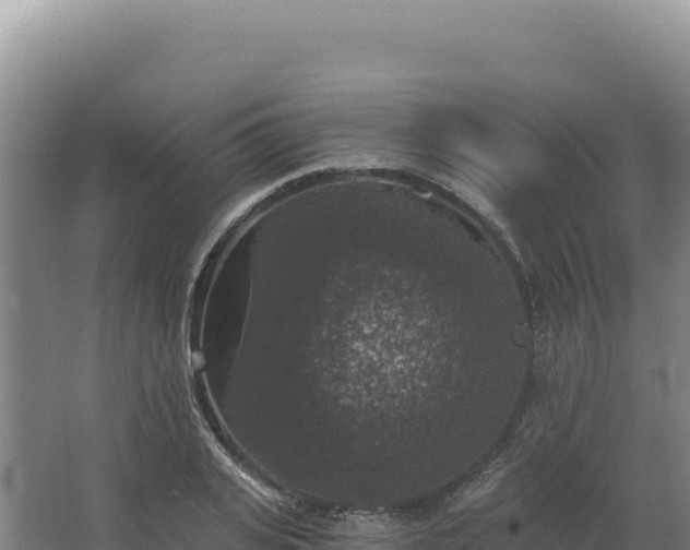 X0000068300935200604281706