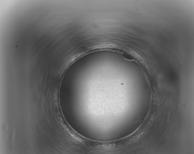 X0000068300937200604281706