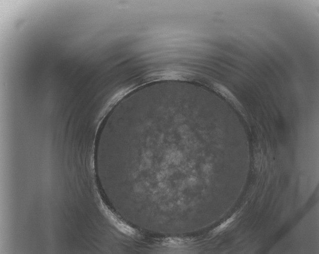 X0000068300938200604281706