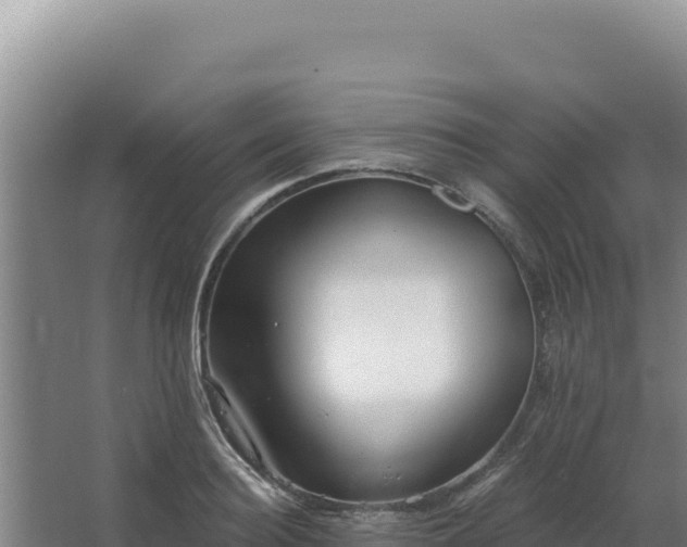 X0000068300940200604281706