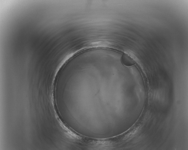 X0000068300941200604281706