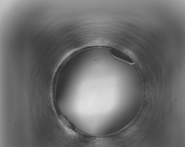 X0000068300942200604281706