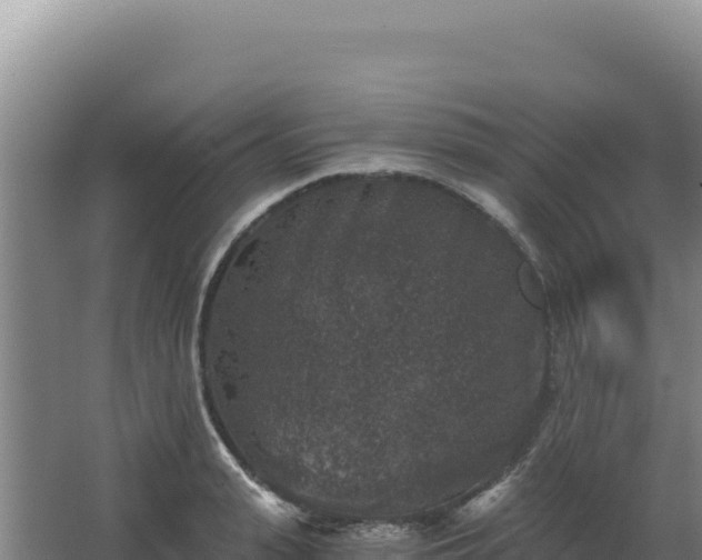 X0000068300943200604281706