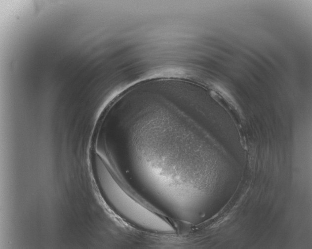 X0000068300944200604281706