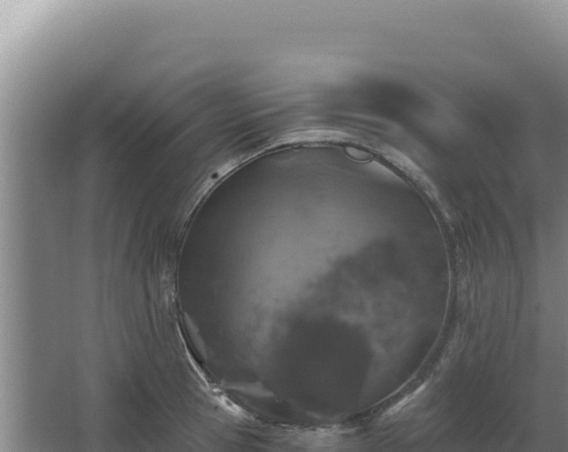 X0000068300945200604281706