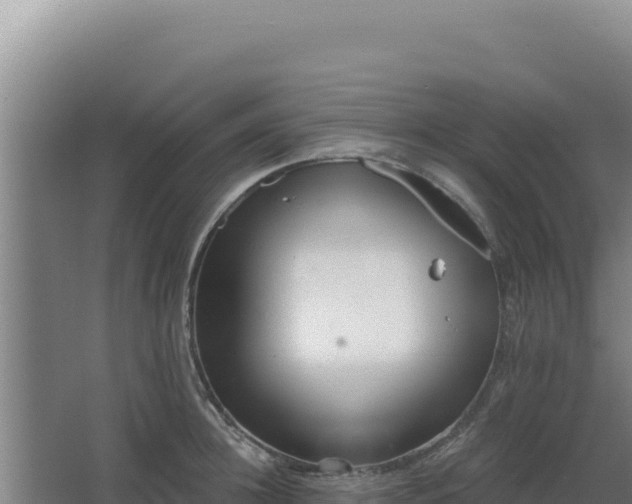 X0000068300948200604281706