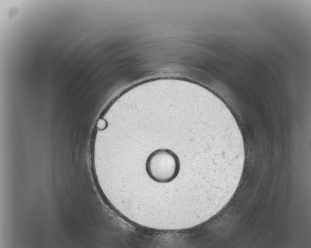 X0000068300950200604281706