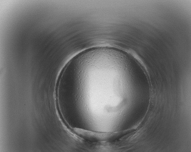 X0000068300951200604281706