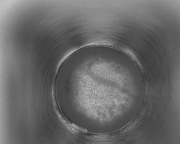 X0000068300952200604281706