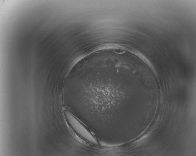 X0000068300953200604281706