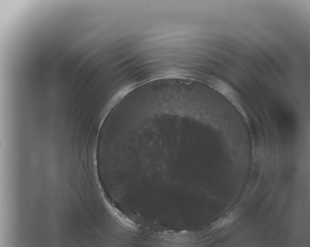 X0000068300954200604281706