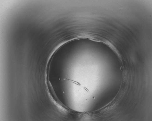 X0000068300955200604281706