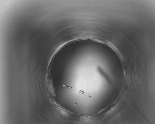 X0000068300956200604281706