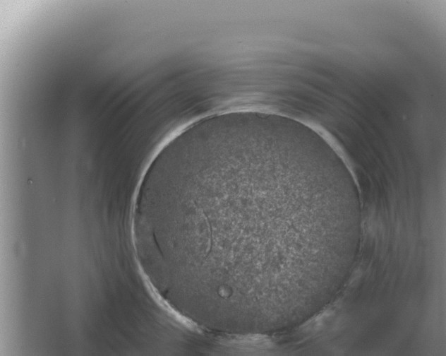 X0000068300957200604281706