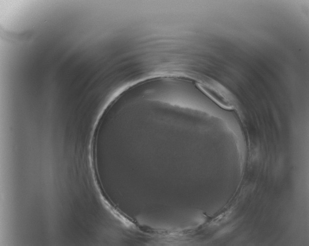 X0000068300958200604281706