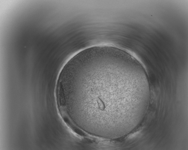 X0000068300959200604281706