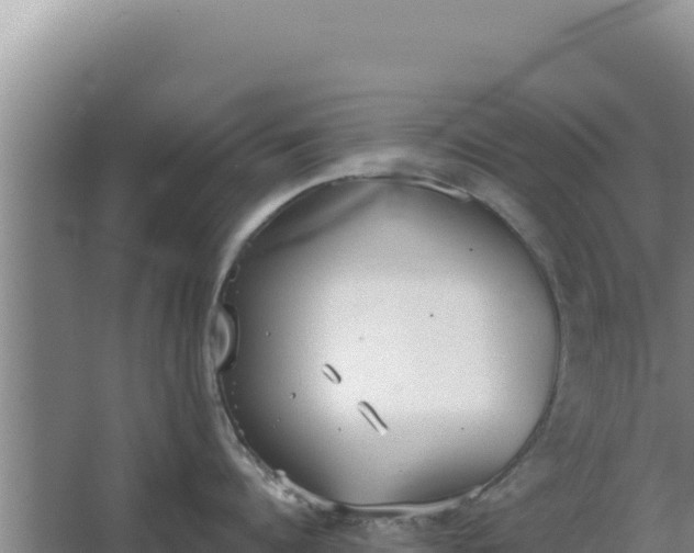 X0000068300960200604281706