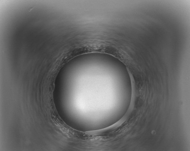 X0000068300961200604281705