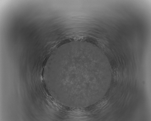 X0000068300962200604281705