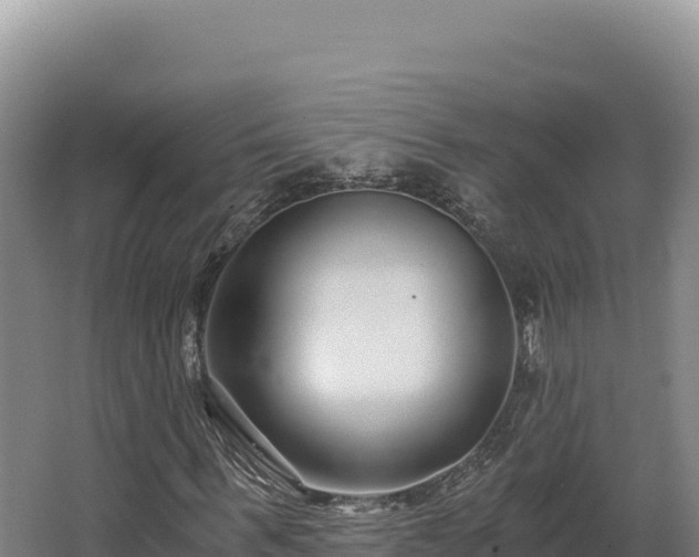 X0000068300963200604281705