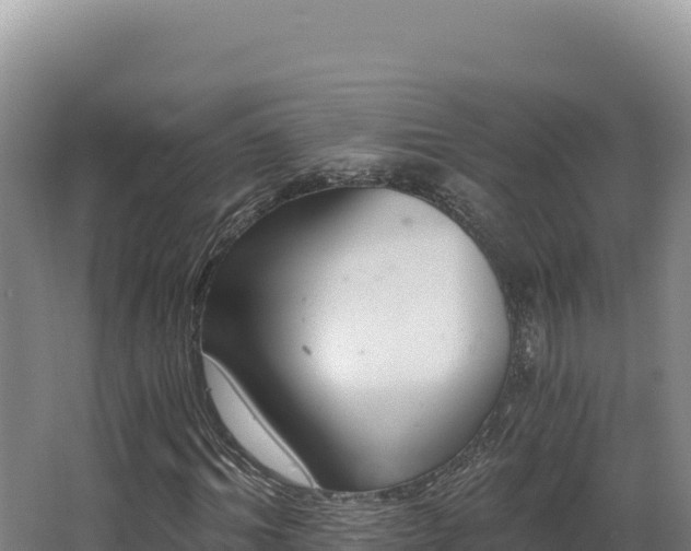 X0000068300964200604281705