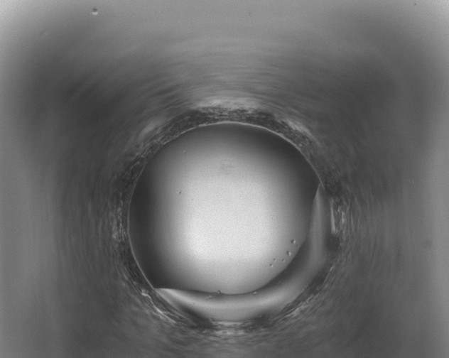 X0000068300965200604281705