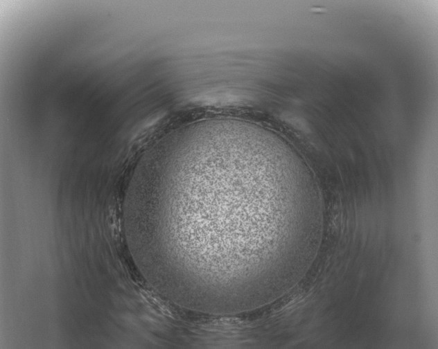 X0000068300966200604281705