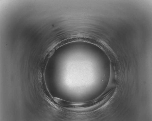 X0000068300969200604281705