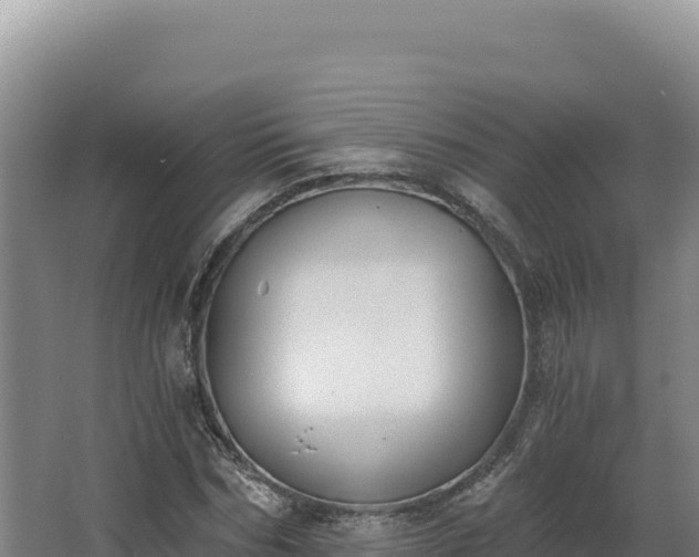 X0000068300970200604281705