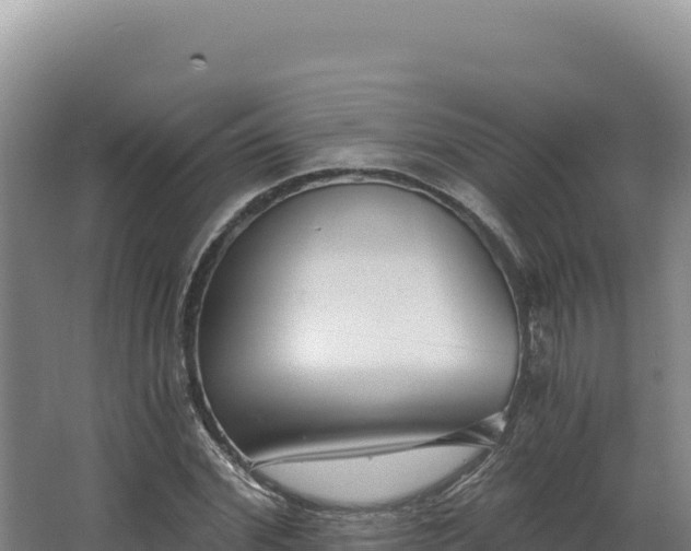 X0000068300972200604281705