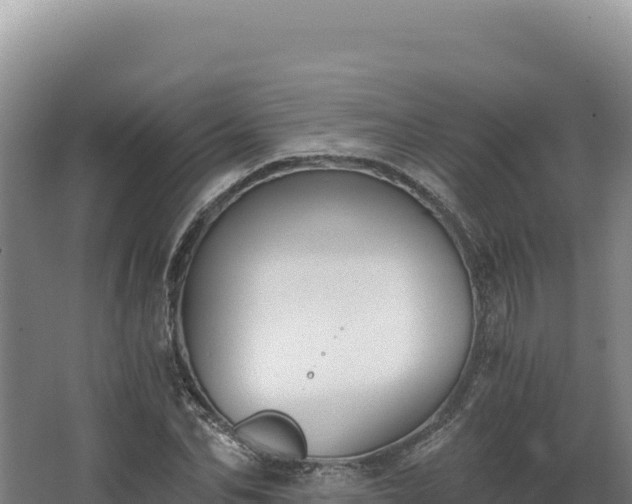 X0000068300974200604281705